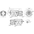 Шестеренний насос GP2.5K28/2K11L-B431CC-F  (11134050)