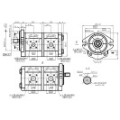 Шестеренний насос GP2K19/2K12R-B231CC-F  (510665128)
