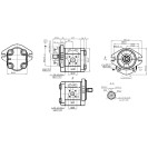 Шестеренний насос GP2K16L-B231C-F (87603409)