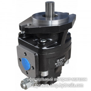 Шестеренный насос GP 56 M-LC3CC4B1VRT220