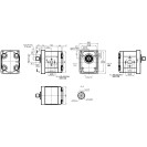 Шестеренний насос GP2K25R-I261B-F (114910A1)