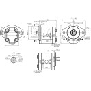Шестеренний насос GP2.5K25R-B533W-F (AL200179)