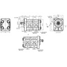 Шестеренний насос GP2.5K23R-B533C-F (DQ.03488)