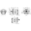 Шестеренний насос GP2K25R-G231F (AZ101779)