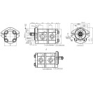 Шестеренний насос GP2K16/2K6L-G231FF-F (AZ36555)